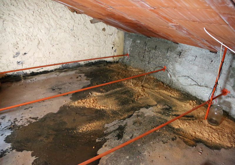 Bathroom Water Damage Repair in Houston, TX