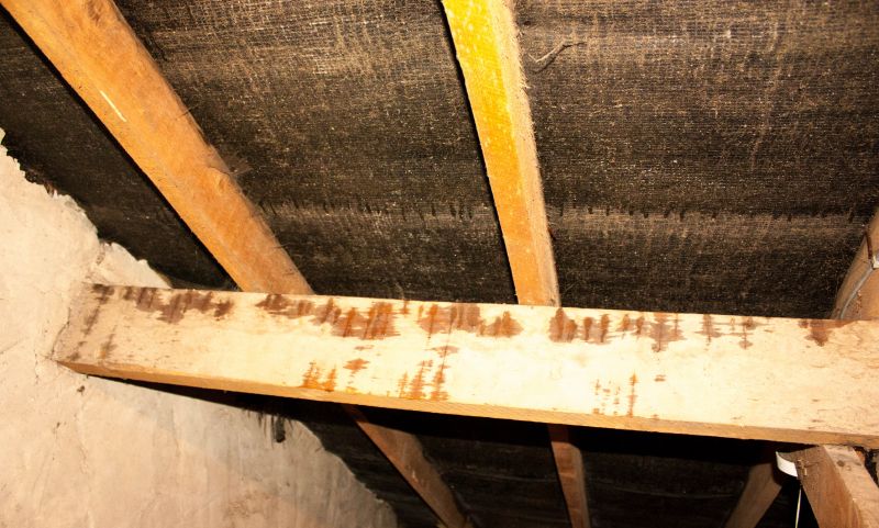 Bathroom Water Damage Repair in Conroe, TX