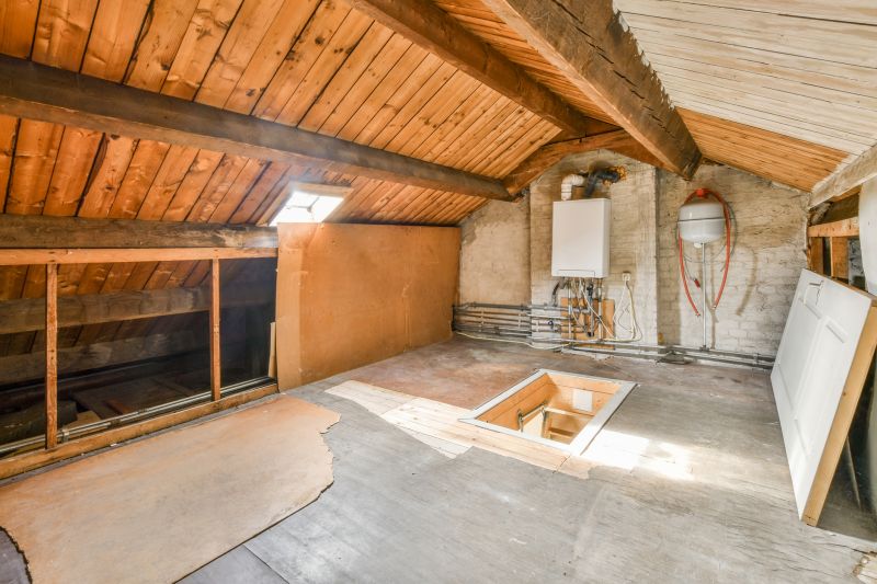 Crawl Space Remediation in Houston, TX