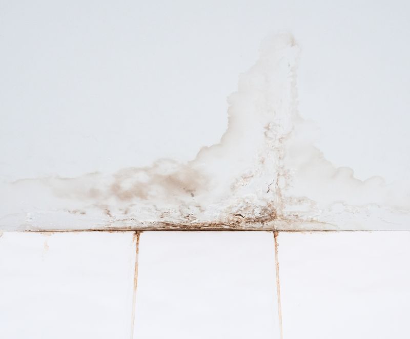 Leaking Ceiling Repair in Denver County, CO